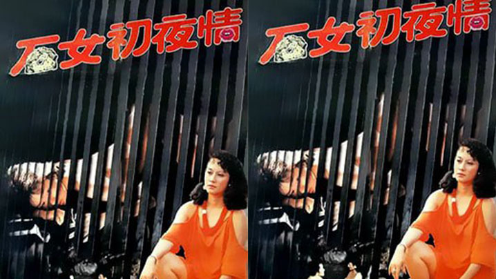 【香港】石女初夜情_摩登女性 （1985）